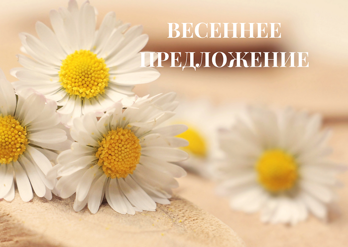 Весеннее предложение